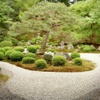 Japonské zahrady, založené na tisíciletém umění asijských mistrů, jsou budovány po celém světě