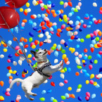 Chemici varují - helium dochází, s balonky se budeme loučit