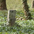 Bohnický hřbitov bláznů je údajně místem s nejnegativnější energií v Česku