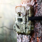 Fotopasti původně využívali lesníci a myslivci ke sledování zvěře